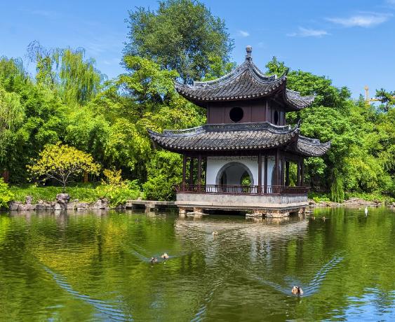 1572918924583757.jpg u=382141265,2794357088&fm=175&app=25&f=JPG.jpg